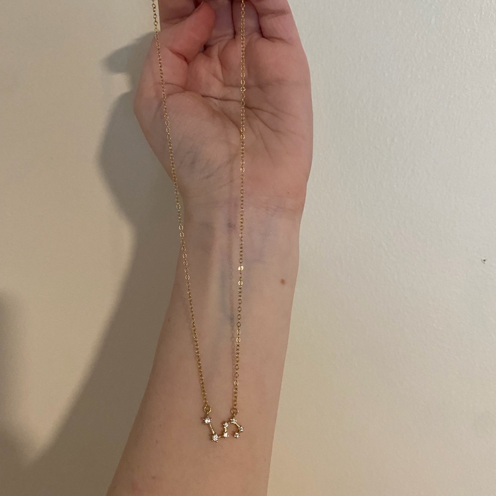 Leo constellation necklace
